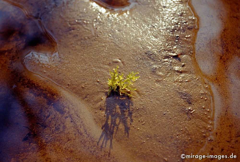 Sandbild
