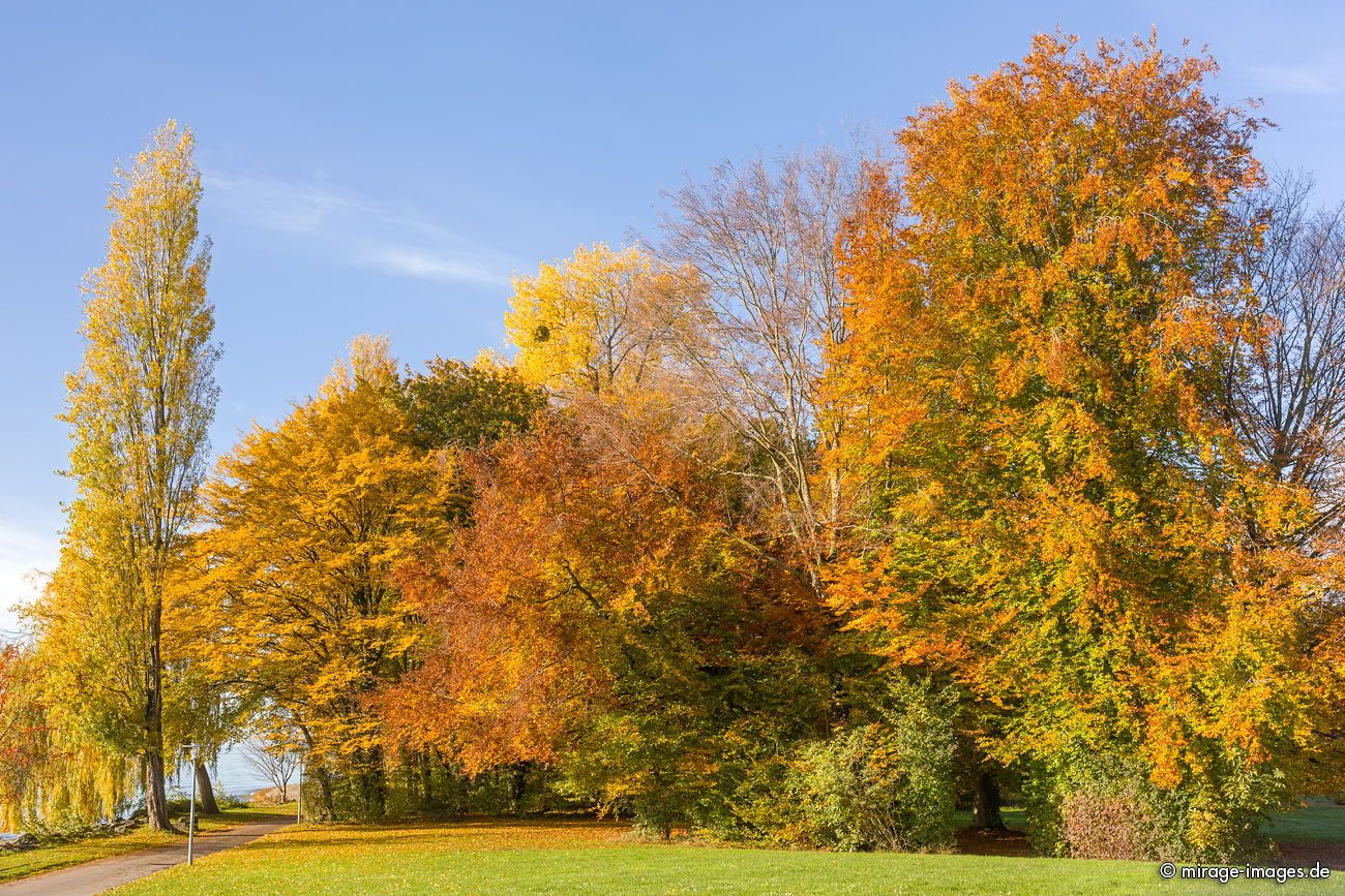 Autumn at Lac Lem�n
Lausanne
Schlüsselwörter: autumn1