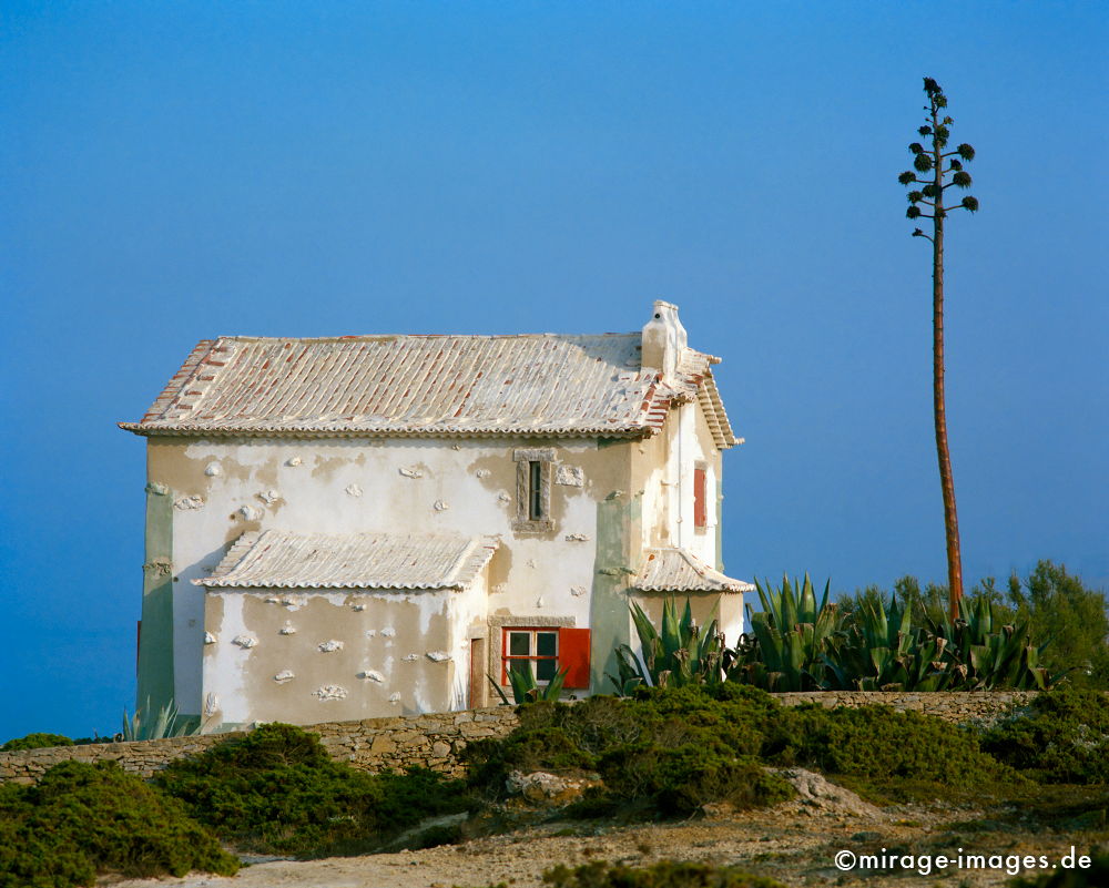 White House
Azenhas do Mar
