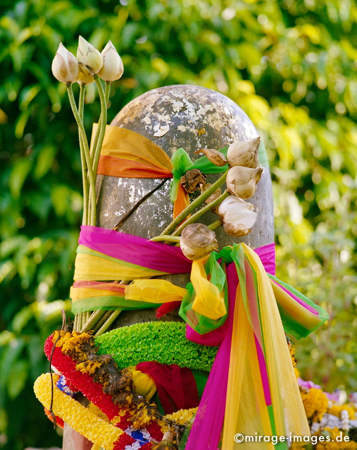 geschmückter Lingam
Bangkok
Schlüsselwörter: love1, Fruchtbarkeit, Frieden, Buddhismus, Blumen, Ritus, archaisch