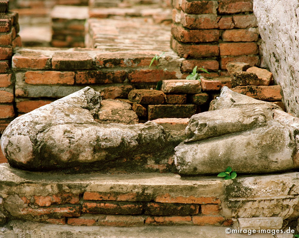 Fragmente
Ayutthaya
Schlüsselwörter: meditation1, Kraft, Verehrung, Kult, Opfer, Meditation, Buddhismus, Religion, Schrein, Spiritualität, Anbetung, Ruhe, Natur, Frieden, friedlich, heilig, Sinnsuche, Kunst, alt, Geist, göttlich, Würde, Archäologie, Heiligtum, zeitlos, Leben,