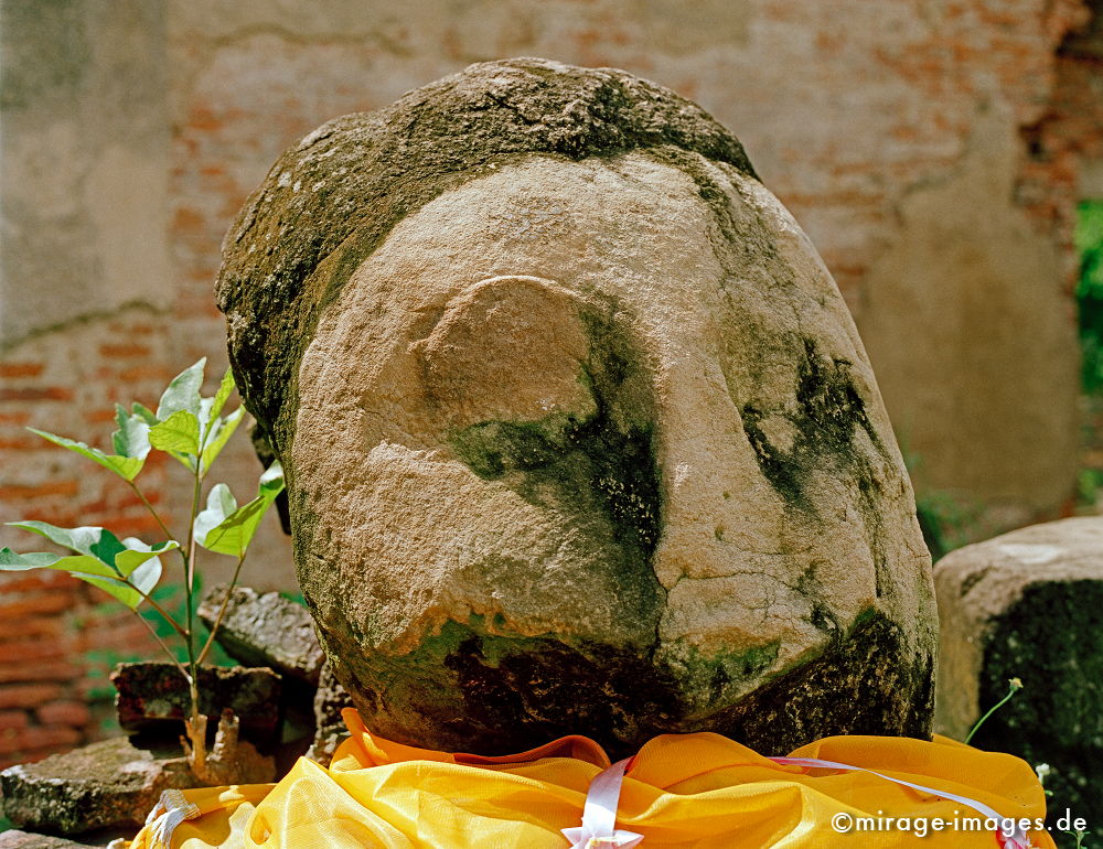Buddhakopf
Phra Nakhon Si Ayutthaya
Schlüsselwörter: meditation1, Kraft, Verehrung, Kult, Räucherstäbchen, Opfer, Meditation, Buddhismus, Religion, Schrein, Spiritualität, Anbetung, Ruhe, Natur, Frieden, heilig, Entspannung, entspannen, Glauben, gläubig, religiös, Kontemplation, Liebe, Menschlichkeit
