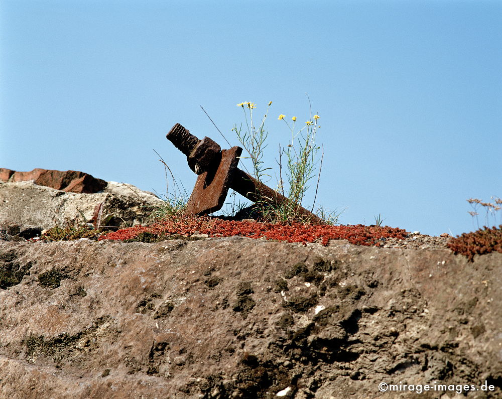 Industry and Nature
Landschaftspark Duisburg 
Schlüsselwörter: Kunst, Industriekultur, IBA, Strukturwandel, Ruhrgebiet, Bergbau, Montanindustrie, Nordrhein Westfalen, Energie, Stahl, Landschaft, Schwerindustrie, Errinnerung, Natur, Rost, eisen, Koexistenz, Vegetation