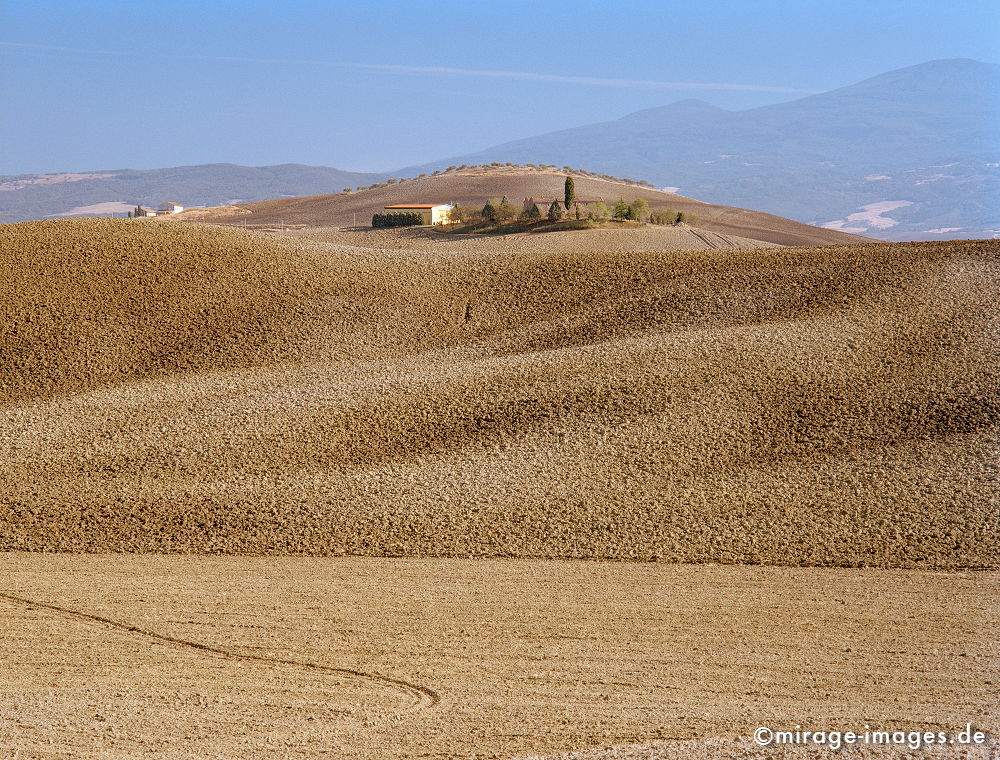 Montepulciano
Siena Italien

