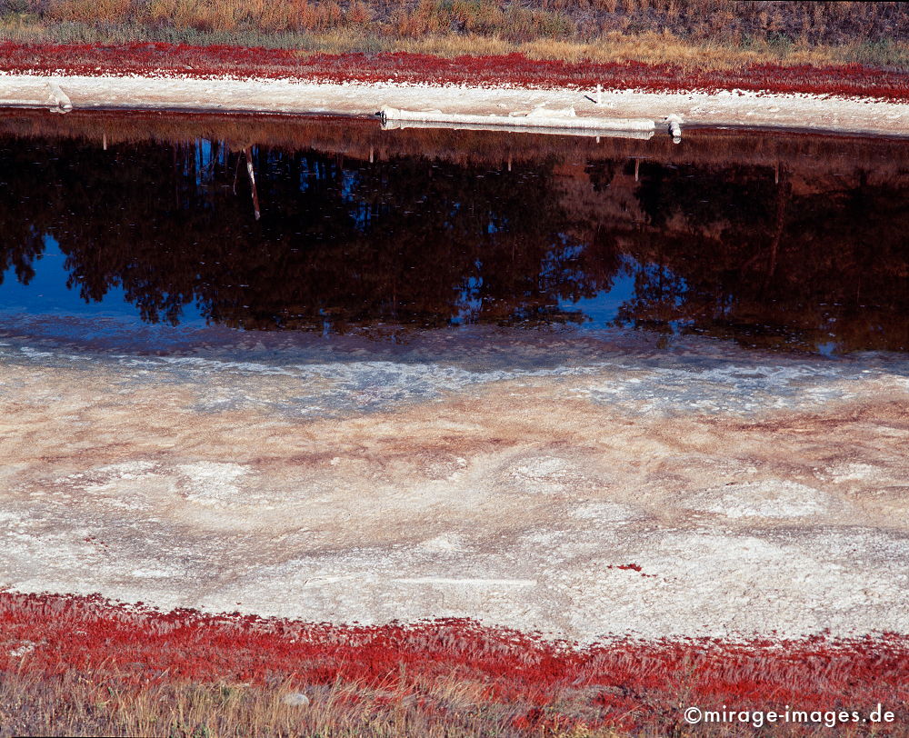 Saltlake
Rocky Mountains Jasper NP
Schlüsselwörter: Salz,