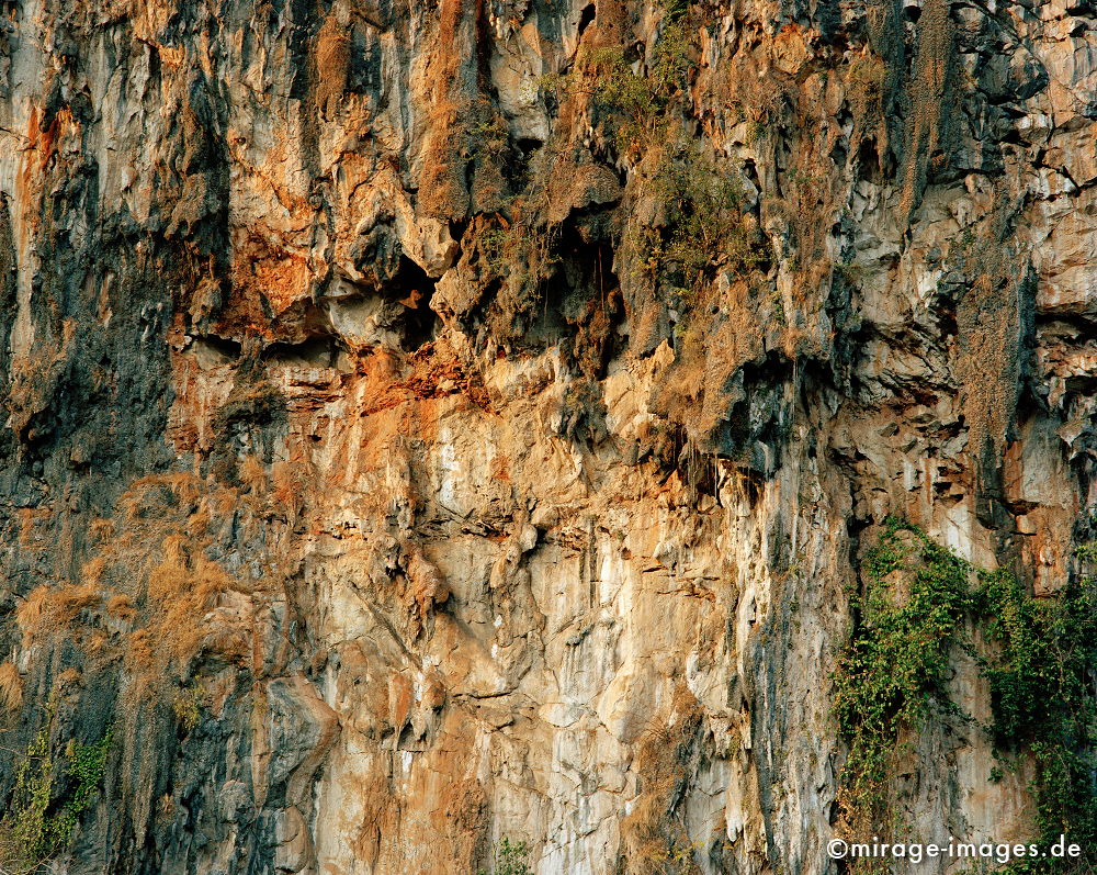 Lime rock 
Schlüsselwörter: Stein, Dschungel, archaisch, Berg, zerklüftet, rauh, Schutz, Natur, Landschaft, Licht, unberührt, natürlich,