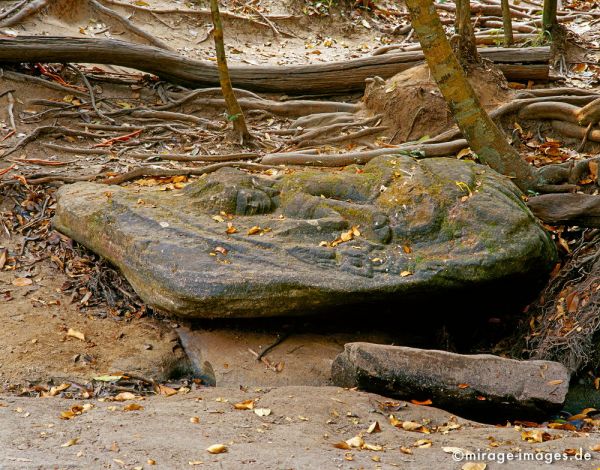 liegende Fruchtbarkeitsgöttin im Flussbett der 1000 Lingas
Kulen Mountains Siem Reap
Schlüsselwörter: Stein, Frau, Skulptur, Fluss, Fruchtbarkeit, Trockenheit, Buddhismus, Religion, Spiritualität, Khmer, weiblich, Frieden, friedlich, heilig, Entspannung, entspannen, ethnisch, Mythologie, Naturreligion, Schönheit, Harmonie, edel, Anmut, Natur, love1