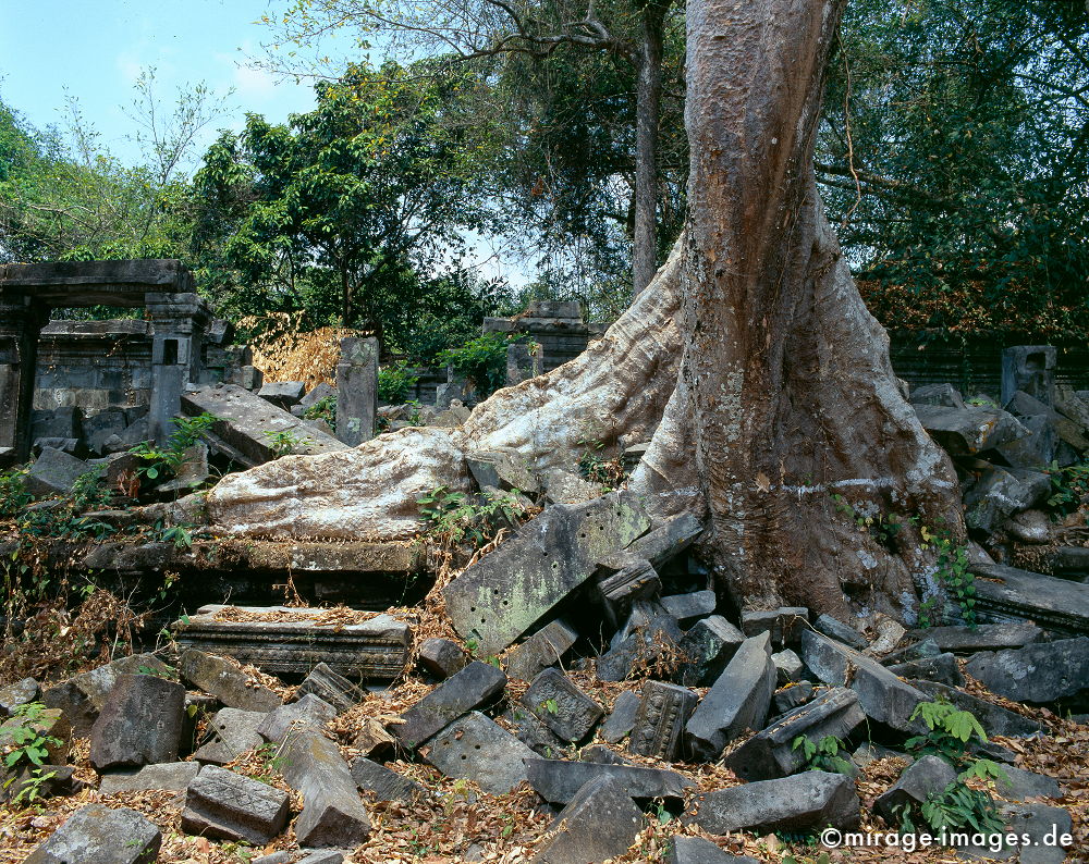 Beng Mealea
Wat Angkor
Schlüsselwörter: Buddhismus, Religion, Spiritualität, Anbetung, Ruhe, Kultur, zeitlos, Reise, Architektur, Schönheit, Frieden, friedlich, heilig, Entspannung, entspannen, Frieden, Kontemplation, Liebe, Menschlichkeit, Kloster, Buddha, authentisch, Sinnsuche, Kunst,