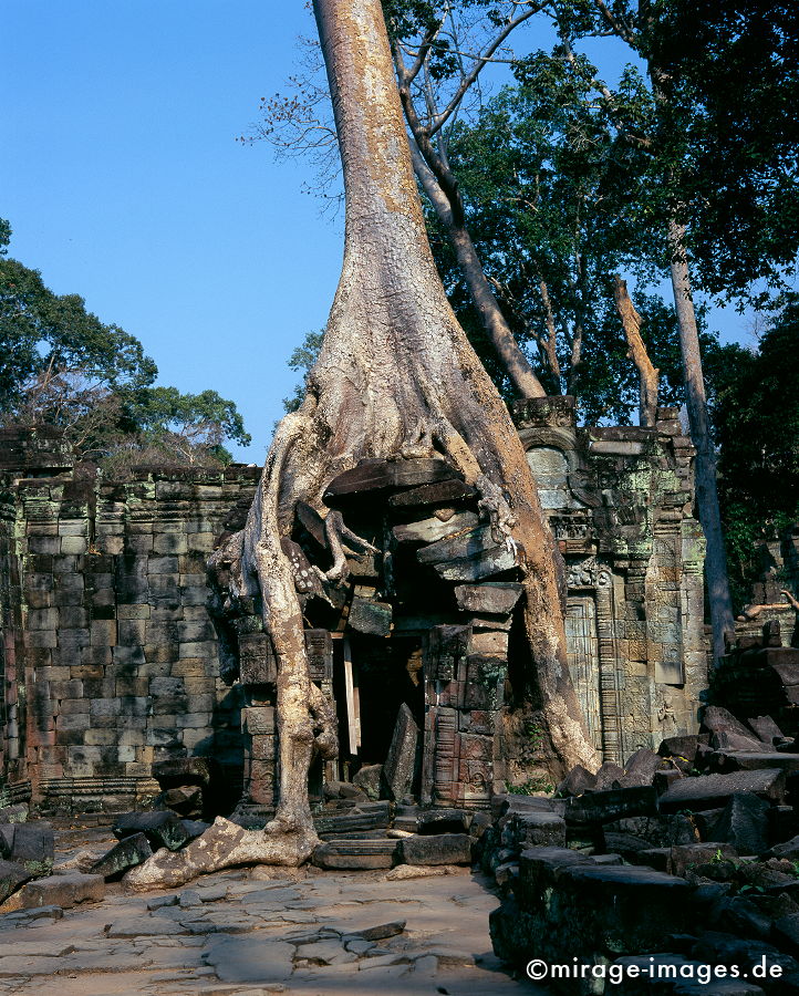Preah Khan
Angkor Wat
Schlüsselwörter: Heiligtum, Ruine, Tempel, Kraft, Meditation, Buddhismus, Religion, Spiritualität, Anbetung, Ruhe, Kultur, zeitlos, Reise, Architektur, Schönheit, Frieden, friedlich, heilig, Weltkulturerbe, Kunst, Frieden, Kontemplation, Liebe, Menschlichkeit, Natur,