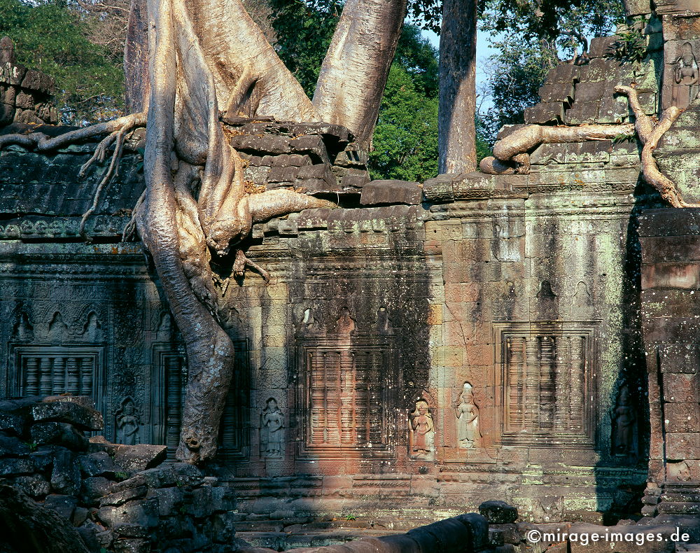 Preah Khan
Angkor Wat
Schlüsselwörter: Heiligtum, Ruine, Tempel, Kraft, Meditation, Buddhismus, Religion, Spiritualität, Anbetung, Ruhe, Kultur, zeitlos, Reise, Architektur, Schönheit, Frieden, friedlich, heilig, Weltkulturerbe, Kunst, Frieden, Kontemplation, Liebe, Menschlichkeit, Natur,