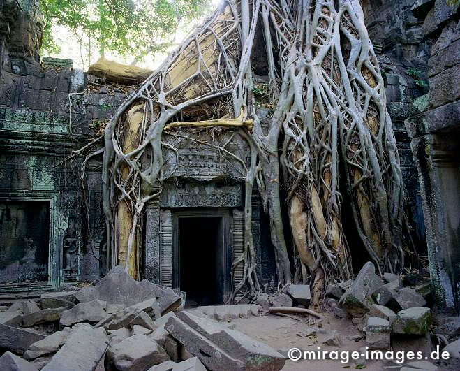 Ta Prohm
Angkor Wat
Schlüsselwörter: Baum, Dschungel, überwuchert, Khmer, Ruine, Tempel, Buddhismus, Reise, Asien, Holz, Stone, Wildnis, chaotisch, kraftvoll, Natur, Architektur, surreal, Tourismus, Reise, Frieden, friedlich, heilig, Fernreise, Vegetation,