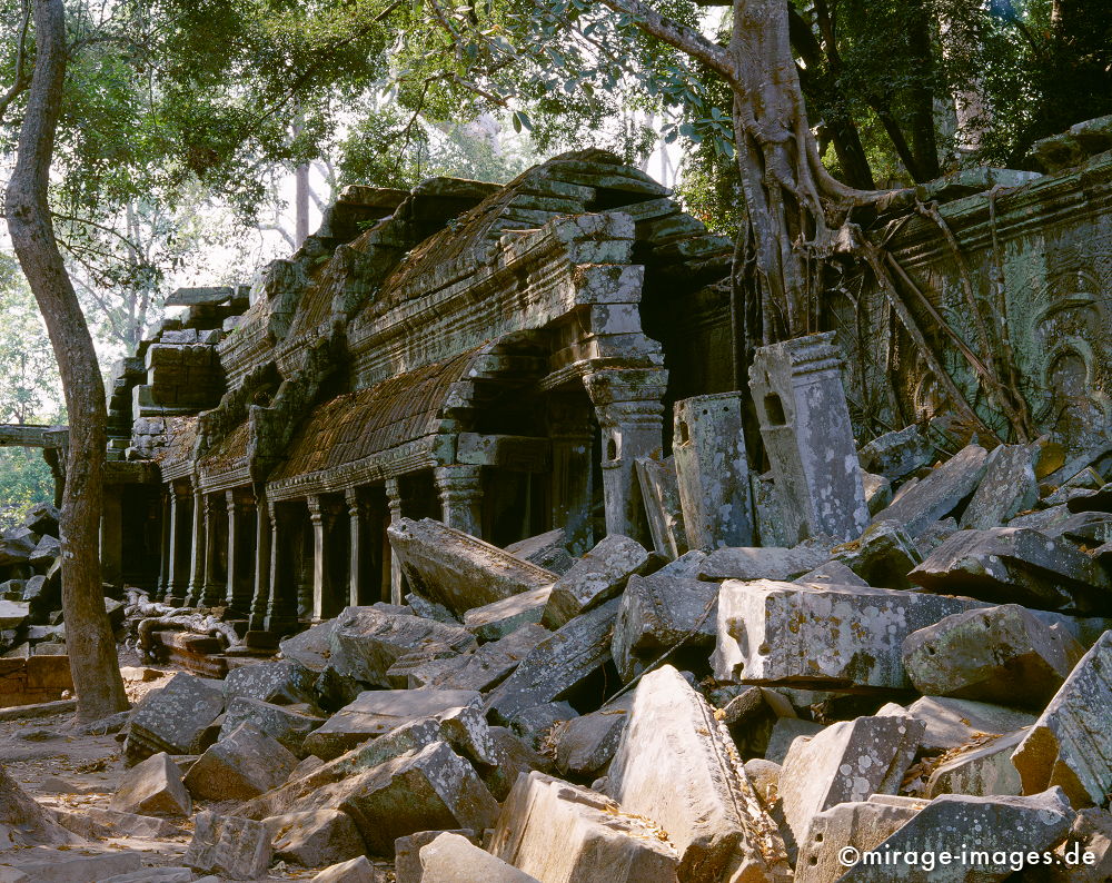 Temple
Angkor Wat
Schlüsselwörter: Baum, Dschungel, überwuchert, Khmer, Ruine, Tempel, Buddhismus, Reise, Asien, Holz, Stone, Wildnis, chaotisch, kraftvoll, Natur, Architektur, surreal, Tourismus, Reise, Frieden, friedlich, heilig, Fernreise, Vegetation,