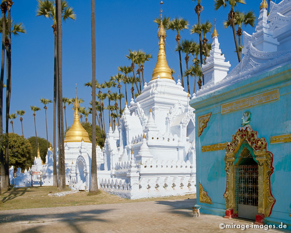 White Stupas
Mandalay
Schlüsselwörter: Heiligtum, Tempel, Kraft, Meditation, Buddhismus, Religion, Spiritualität, weiss, Gebäude, türkis, Hund, gold, Ruhe, Kultur, zeitlos, Architektur, Schönheit, Frieden, friedlich, heilig, Entspannung, entspannen, Kontemplation, Buddha, Geduld,