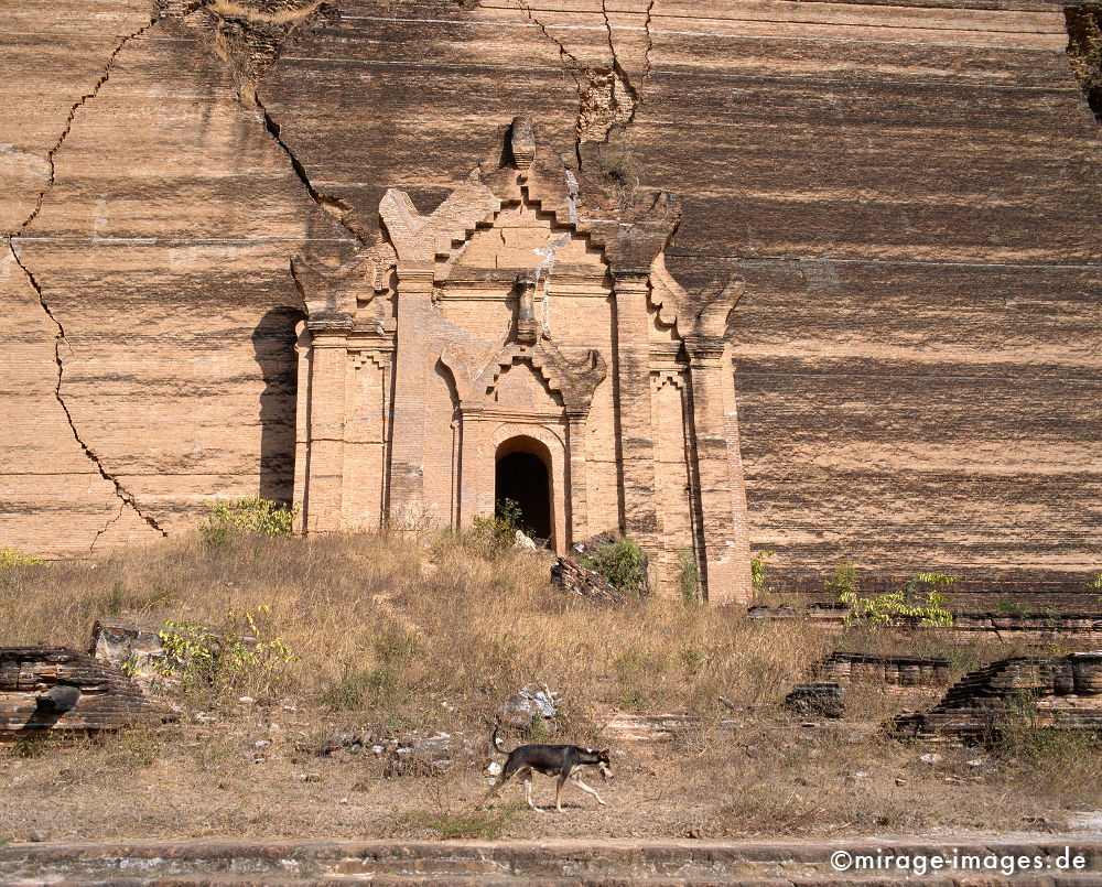 Mingun Paya
Mandalay
Schlüsselwörter: Birma, Burma, Südost Asien, Tropen, Armut, Fernreise, Reise, Kultur, Tourismus, Entwicklungsland, Ruine, Tempel, Hund,