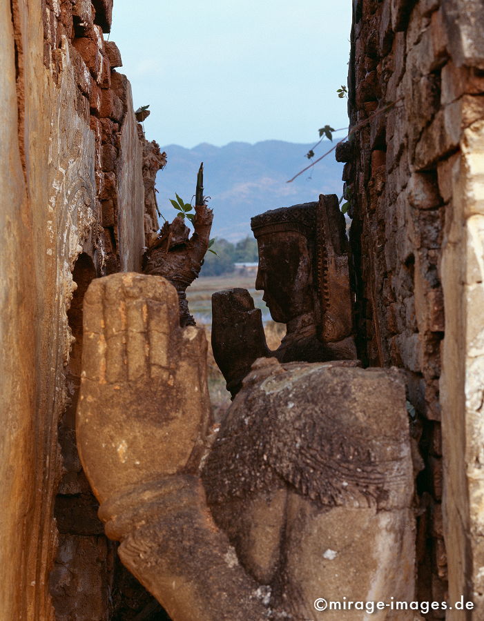 Praying in a Ruin
Kyaukhpyugyi Paya Inle Lake
Schlüsselwörter: kopflos, beten, Ruine, Verfall, heilig, Stein, Hände, Buddhismus,
