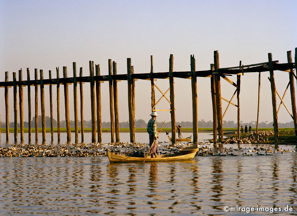 Ducks under U Bein Bridge
Madalay
