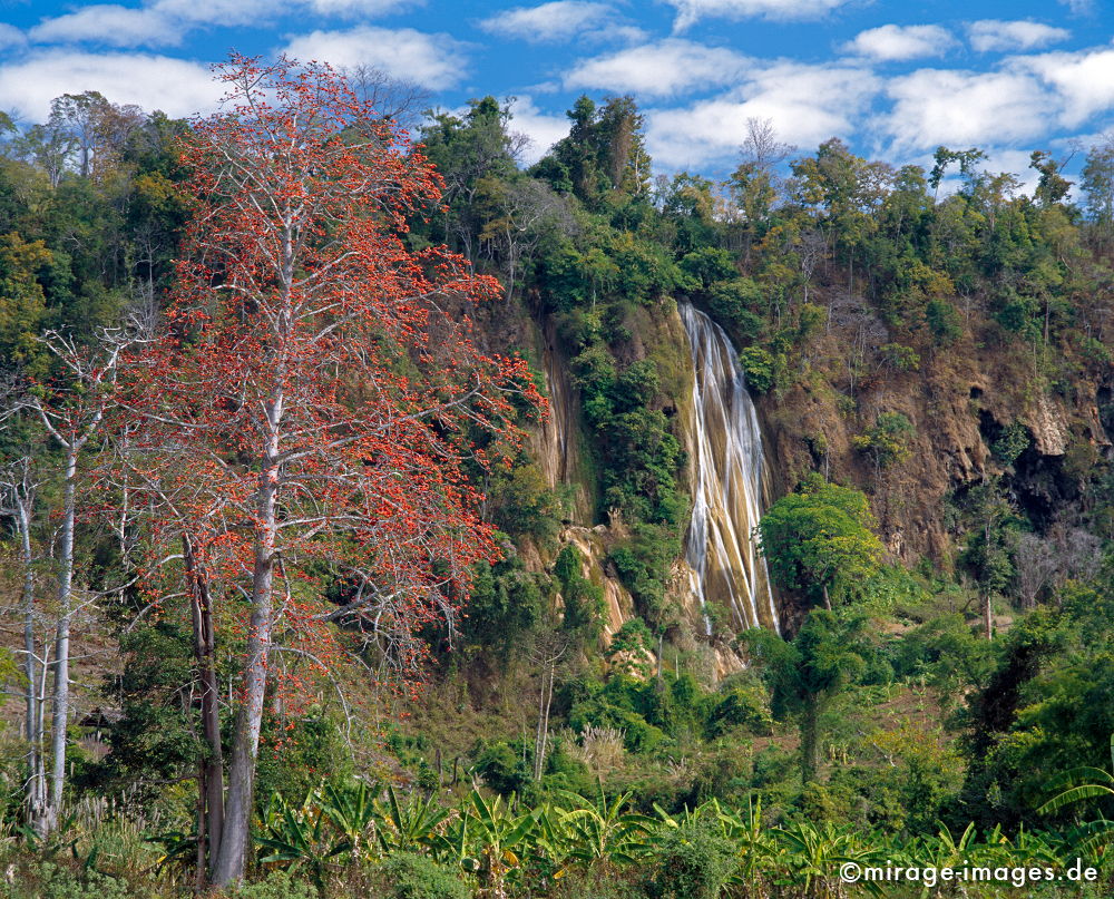 Waterfall
Hsipaw  Mandalay
Schlüsselwörter: trees1, Urweltlandschaft, Kapokbaum, Wasserfall, fließen, Dschungel, Tropen, Wildnis, Wasser, Fluss, Ruhe, Natur, Landschaft, Asien, Reise, Pflanzen, vegetation, klar, rein, Ökologie, Fernreise, Birma, Burma