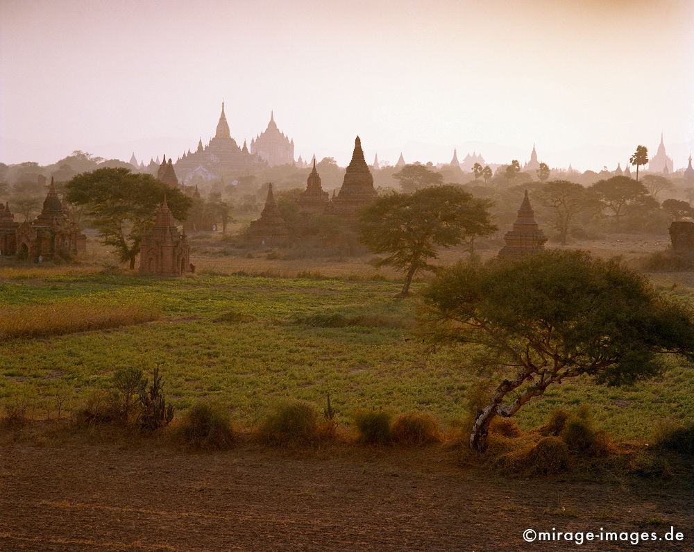 Bagan (Pagan)
Mandalay
Schlüsselwörter: Stein, Heiligtum, Tempel, Kraft, Meditation, Buddhismus, Religion, Asien, Spiritualität, Anbetung, Ruhe, Kultur, zeitlos, Tourismus, Reise, Architektur, Schönheit, Ruhe, Frieden, friedlich, heilig, Weite, Sonnenuntergang, Fernreise,