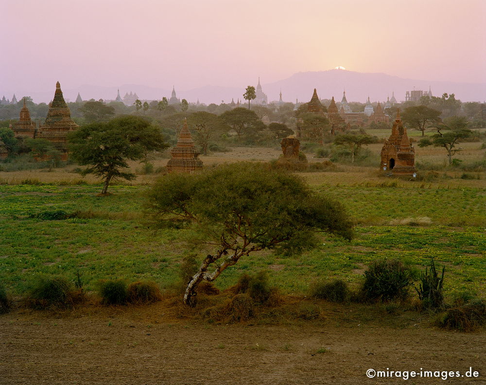Bagan (Pagan)
Mandalay
Schlüsselwörter: Stein, Heiligtum, Tempel, Kraft, Meditation, Buddhismus, Religion, Asien, Spiritualität, Anbetung, Ruhe, Kultur, zeitlos, Tourismus, Reise, Architektur, Schönheit, Ruhe, Frieden, friedlich, heilig, Weite, Sonnenuntergang, Fernreise, Entspannung,