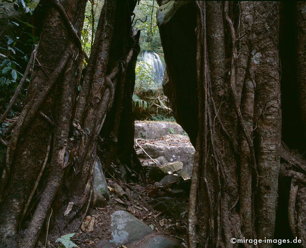 Near Nam Kat Waterfall
Oudomxay
Schlüsselwörter: Ruhe, Natur, Baum, Wildnis, unberührt, frisch, klar, natürlich, Harmonie, authentisch, Wurzel, Reinheit, Sauberkeit, Leben, zerbrechlich, empfindlich, romantisch, idyllisch, Vegetation, Kraft, gebrochen, Wasserfall, Wasser, fliessen,