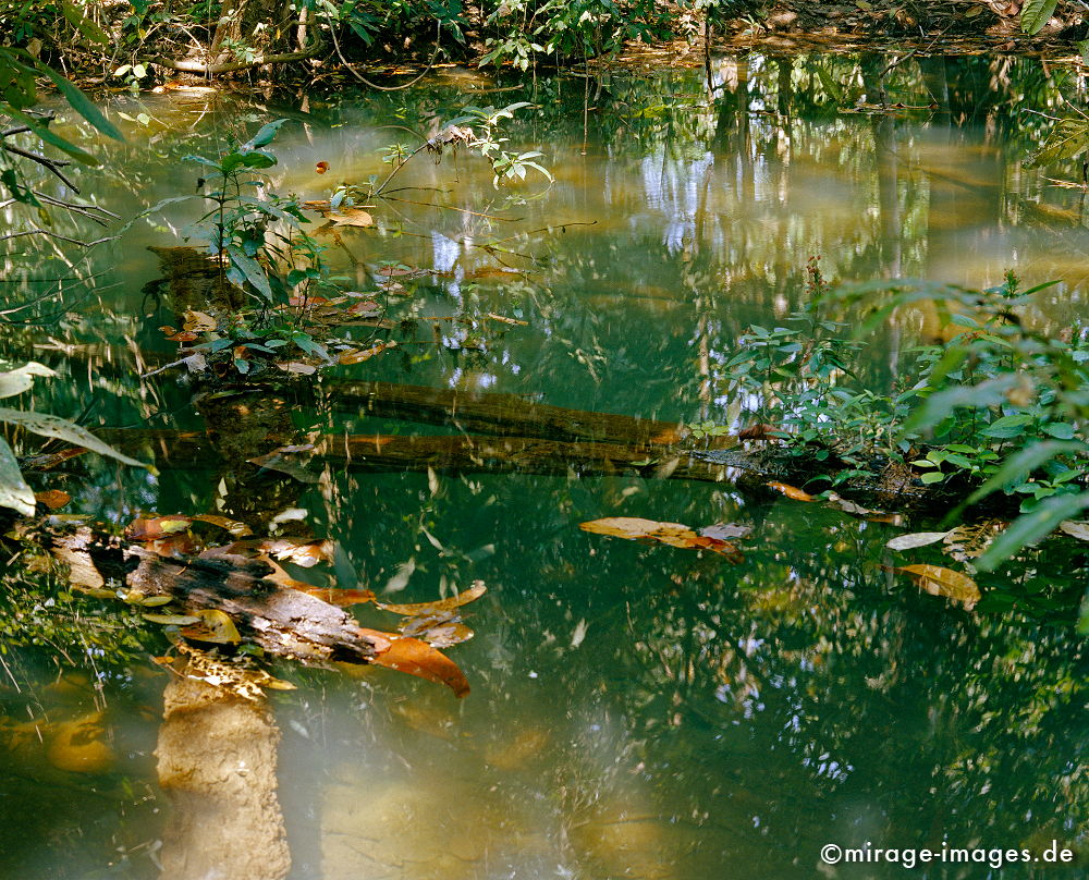 Pond
Tat Kuang Xi
Schlüsselwörter: Wasser, fliessen, Ruhe, Natur, Stein, Meditation, Entspannung, entspannen, Wildnis, unberührt, frisch, klar, natürlich, Harmonie, authentisch, Felsen, Reinheit, Sauberkeit, Leben, zerbrechlich, empfindlich, Blätter, Mangel, romantisch, idyllisch, kühl