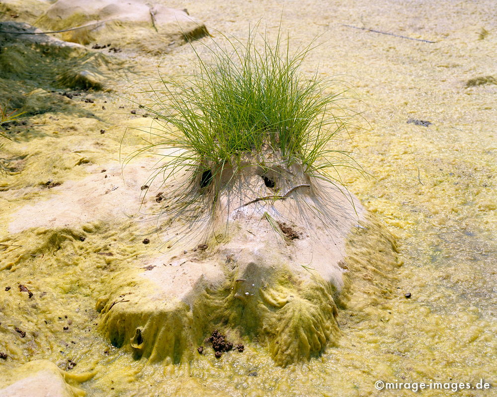 Friend
Nam Ou Laos
Schlüsselwörter: natureart1,