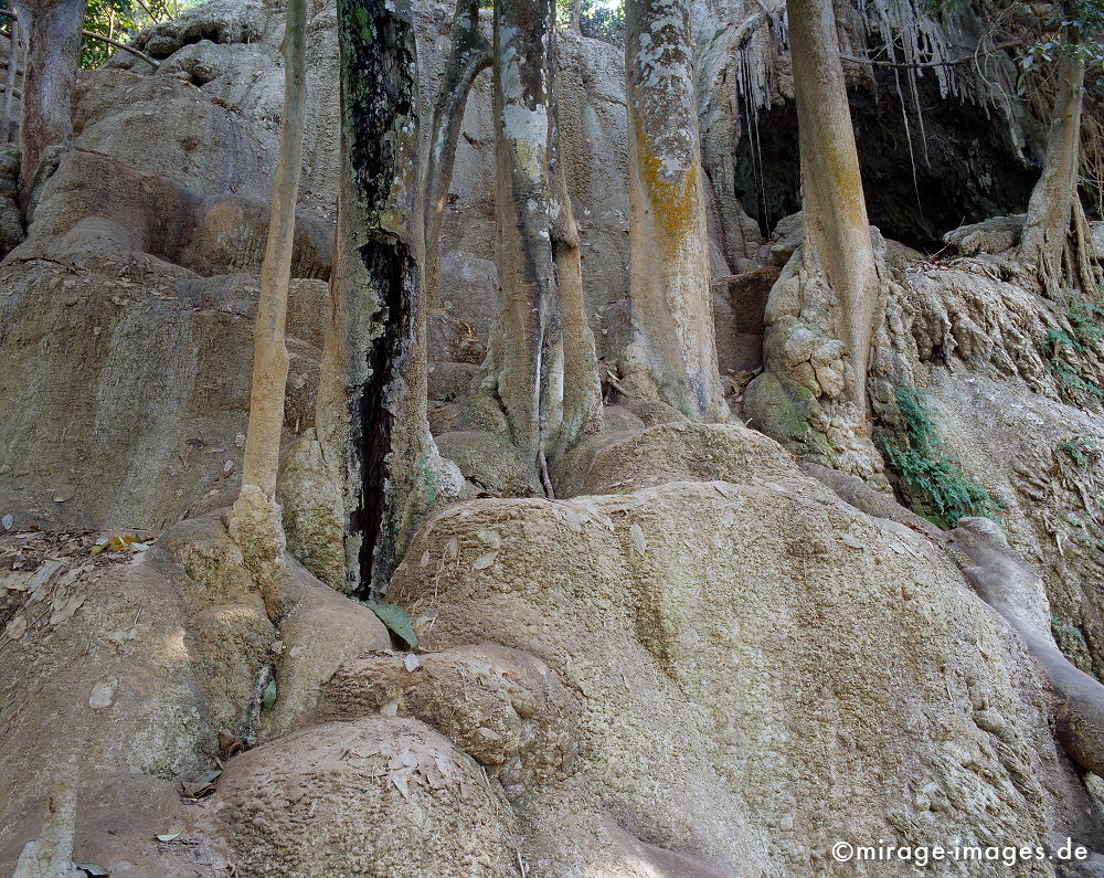 Tat Kuang Xi
Luang Prabang
Schlüsselwörter: Wasserfall, Sedimente, Schlamm, Dschungel, Tropen, Wasser, Ruhe, Wasser, Natur, Landschaft, Asien, Reise, Pflanzen, klar, rein, Ökologie, Kaskade, Felsen, Reinheit, Sauberkeit, Leben, einladend, schroff, rau, zerbrechlich, empfindlich, romantisch, idylle