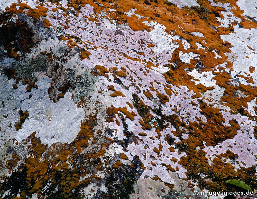 Lichen
Oudomxay
Schlüsselwörter: Ruhe, Natur, Stein, Wildnis, unberührt, natürlich, Harmonie, authentisch, Felsen, Reinheit, Sauberkeit, Leben, zerbrechlich, empfindlich, sensibel, Gleichgewicht, Vegetation, Kraft, Flechten, Grass,