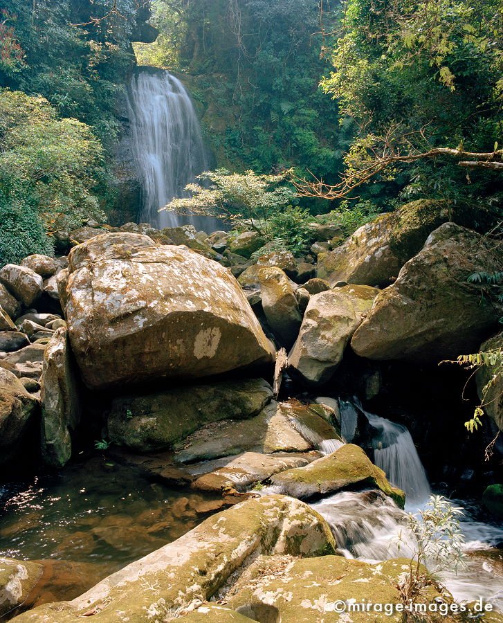 Near Nam Kat Waterfall
Oudomxay
Schlüsselwörter: Wasserfall, Dschungel, Tropen, Wasser, Fluss, Ruhe, Wasser, Natur, üppig, ursprünglich, unberührt, grün, Landschaft, Steine, Felsen, Vegetation, Südost Asien, Reise, Pflanzen, klar, rein, grün, Urwald, Einsamkeit, archaisch, Ökologie, fliessen,