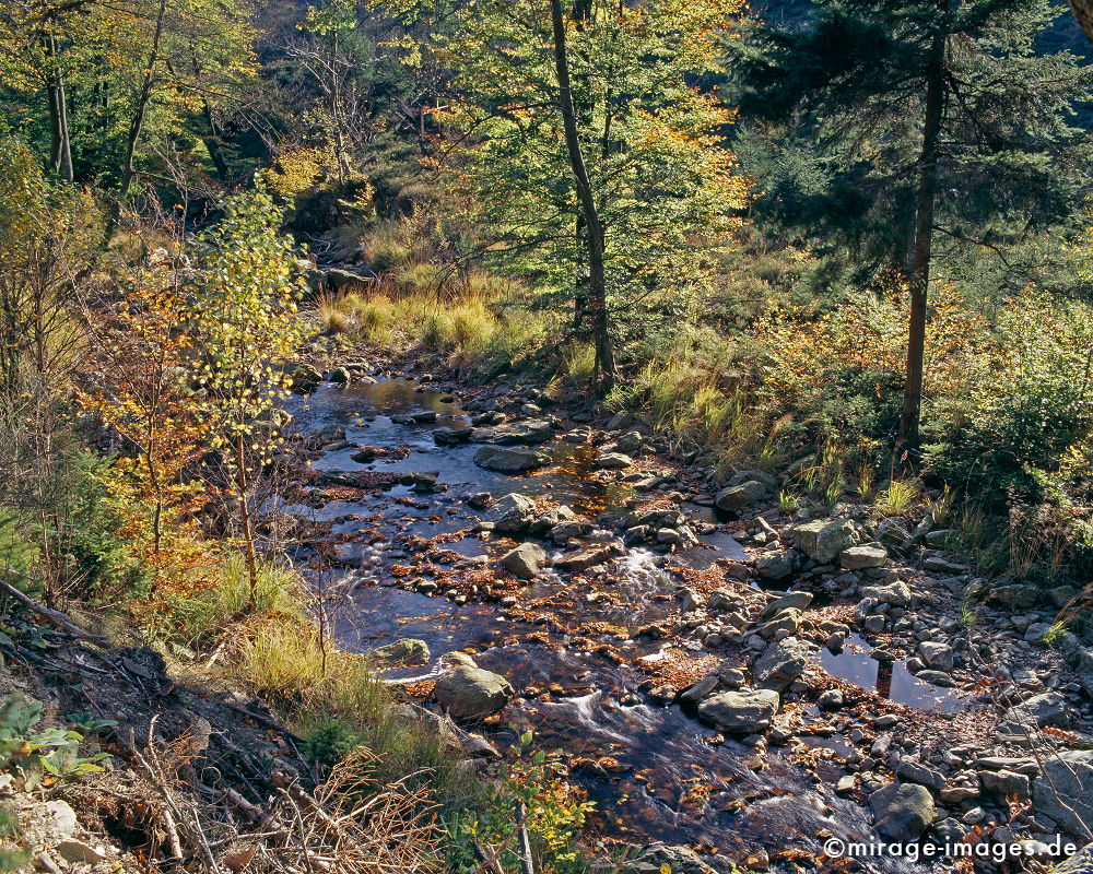 Bachlauf
Hohes Venn Haute Fagnes
Schlüsselwörter: autumn1, Blätter, Wasser. fliessen, Laub,