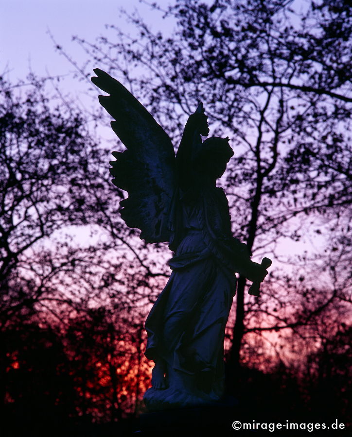 Angel 3
München
Schlüsselwörter: Mourning1