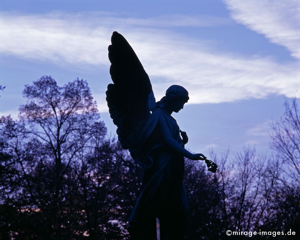 Angel 5
München Ostfriedhof
Schlüsselwörter: Mourning1, Kultur, Flügel, göttlich, Friedhof, Kunst, Statur, Himmel, violett, bronze, Architektur, himmlisch, Tod,