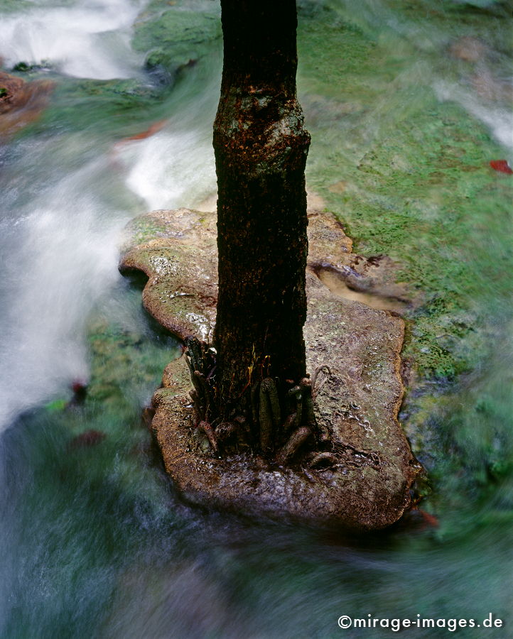 Emerald Pool
Khao Nor Chu Chi National Park
Schlüsselwörter: Fluss, Wasser, fliessen, Ruhe, Stille, Meditation, Kunst, Entspannung, entspannen, relax, rauschen, Meditation, Wildnis, unberührt, frisch, klar, Bewegung, bewegen, natürlich, Harmonie, rauschen, Reinheit, Sauberkeit, Leben, einladend, Reise, Landschaft