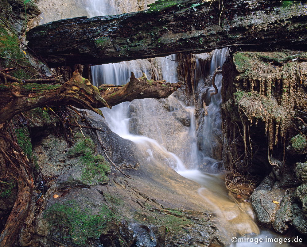 Small Waterfall
Mai Kaew Cave
Schlüsselwörter: Natur, natürlich, Kunst, Meditation, weich, Erosion, Wasser, Felsen, mystisch, Landschaft, Fantasie, Skulptur, üppig, Wildnis, strömen, fliessen, Leben, Reinheit, sauber, Vegetation, Quelle, Wachstum, wachsen, grün, verwunschen, Baumstamm,