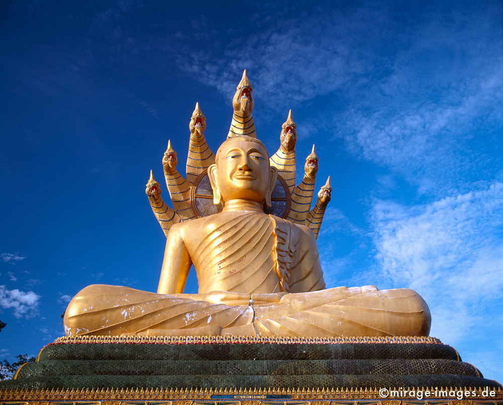 Buddha Itthi Mongkhomchai
Bang Rian Krabi
Schlüsselwörter: Verehrung, meditation1, Buddhismus, Religion, Glauben, Schrein, Spiritualität, Anbetung, Ruhe, Skulptur, Esoterik, Frau, weiblich, Frieden, friedlich, heilig, Entspannung, entspannen, Glauben, gläubig, religiös, Kontemplation, Liebe, Menschlichkeit,