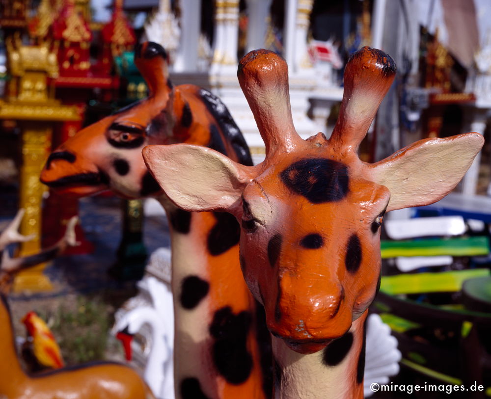 Giraffen
Krabi
