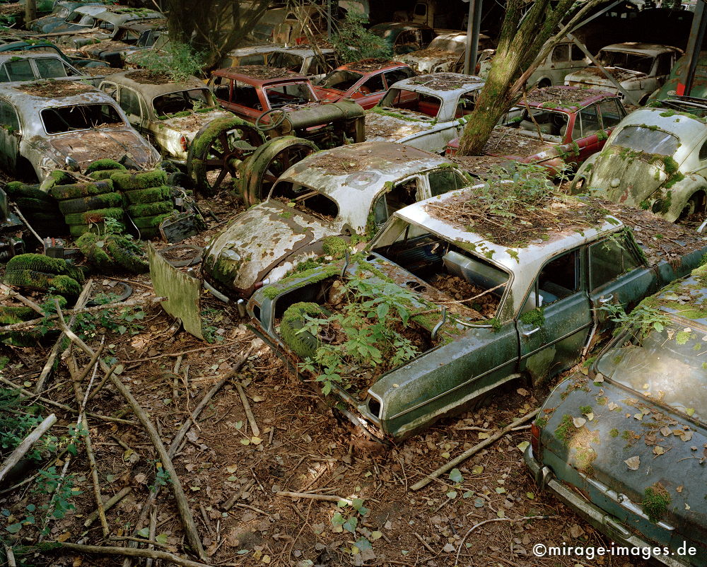 Junkyard
Kaufdorf G�rbetal
Schlüsselwörter: Oldtimer, Staub, Verfall, morbid, Zeit, Auto, Verkehr, antik, Transport, Rost, Schmutz, verfallen, pittoresk, Nostalgie, Zeitalter, historisch, Geschichte, Relikt, gebraucht, verbraucht, Automobil, alt, ausgedient, Fetisch, Wrack, Technik, Technologie,