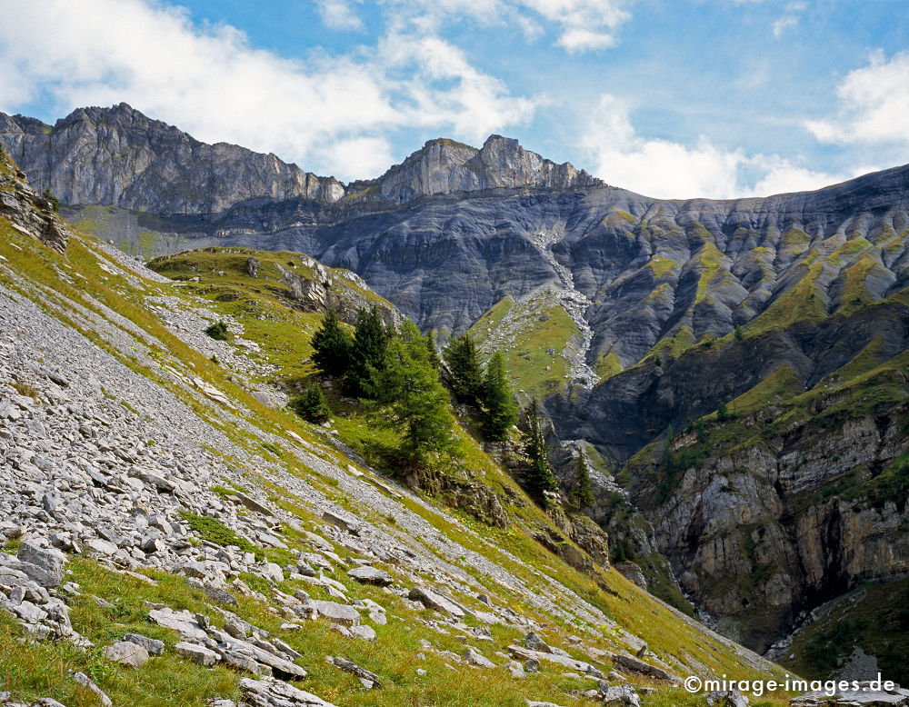 Mountains and Sky
Valais Derborence
Schlüsselwörter: Wildnis, rauh, rau, Felsen, Berge, Berg, Wiese, Niemandsland, hochalpin, Gebirge, Felssturz, mystisch, geheimnisvoll, abgelegen, jenseits, Sagen, Mythen, Legenden, Sage, Mythos, Legende, Natur, natürlich, Nebel, Dunst, urtümlich, nebelig, grau, sauber,