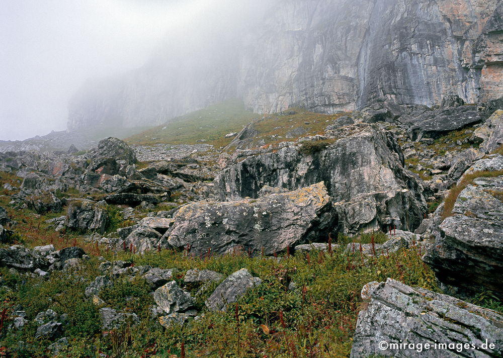 Rough
Valais Derborence
Schlüsselwörter: Wildnis, rauh, rau, Felsen, Berge, Berg, Wiese, Niemandsland, hochalpin, Gebirge, Felssturz, mystisch, geheimnisvoll, abgelegen, jenseits, Sagen, Mythen, Legenden, Sage, Mythos, Legende, Natur, natürlich, Nebel, Dunst, urtümlich, nebelig, grau, sauber,