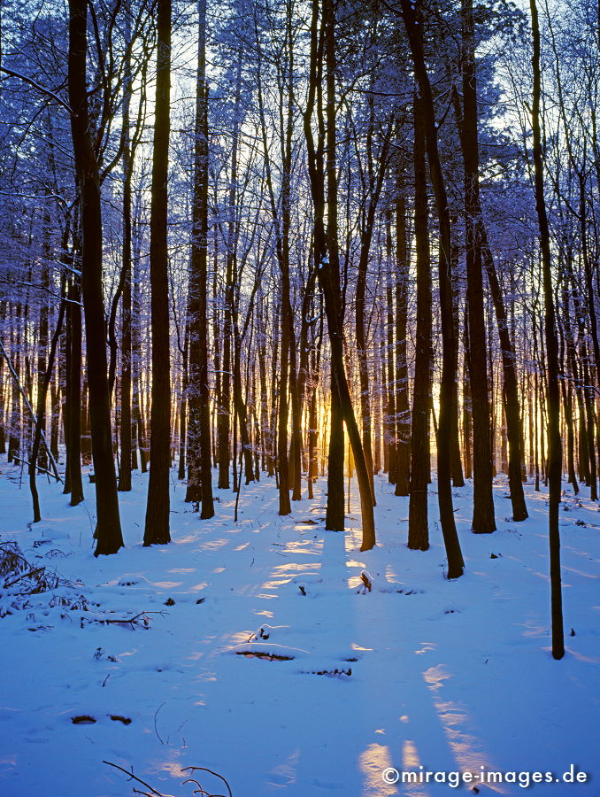 Winter 2009
Dortmund
Schlüsselwörter: Winter, Eis, Schnee, Kälte, kalt, blau, Frost, 