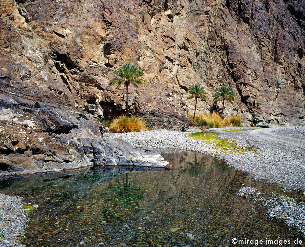 Dream catcher
Wadi Abiyad
Schlüsselwörter: Oase, Wadi, Flussbett, Wasser, Erfrischung, Palmen, Stein, Schlucht, Fluss, klar, sauber, Berg, Felsen, Einsamkeit, einsam, schroff, ruhig, Gegensatz, sonnig, friedlich, Frieden, Ruhe, Stille, schön, Schönheit, spektakulär, rauh, unberührt, glasklar, 
