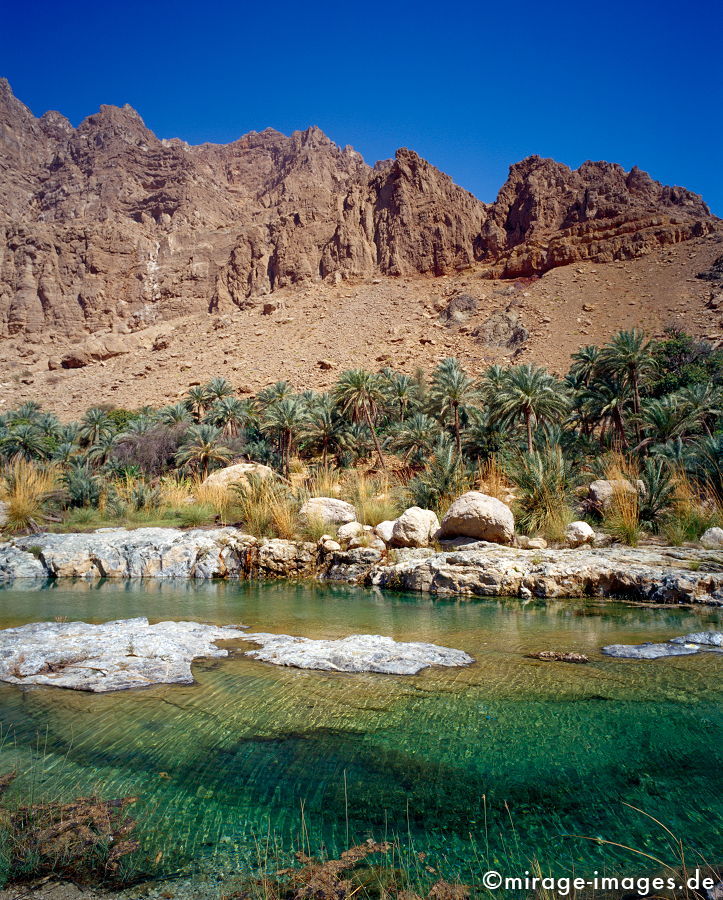Wadi Tiw
Eastern Hajar
Schlüsselwörter: Oase, Wadi, Flussbett, Wasser, Erfrischung, Palmen, Stein, Schlucht, Fluss, klar, sauber, Berg, Felsen, Einsamkeit, einsam, schroff, ruhig, Gegensatz, sonnig, friedlich, Frieden, Ruhe, Stille, schön, Schönheit, spektakulär, rauh, unberührt, glasklar, 