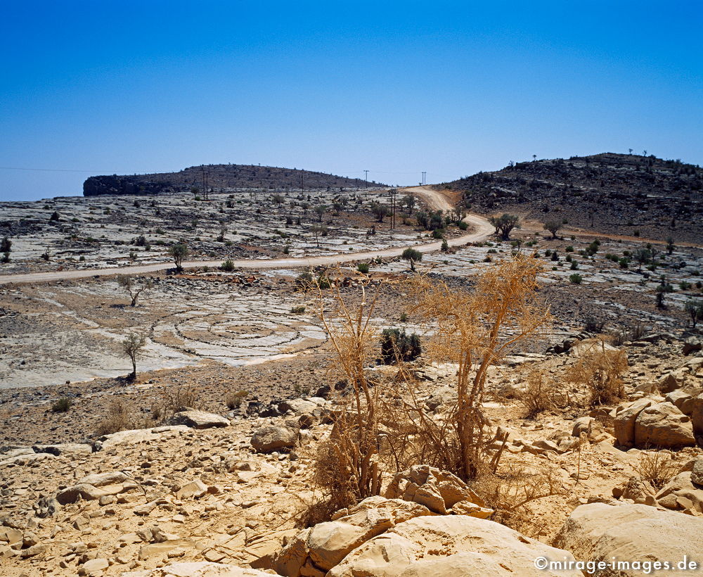 Plateau
Jabal Shams
Schlüsselwörter: Stein, Kreis, gelb, Magie, mysteriös, geheimnisvoll, Felsen, Einsamkeit, einsam, schroff, schön, Schönheit, spektakulär, schroff, rauh, weich, Erosion, Umwelt, Leere, Karst, Gebirge, menschenleer, Geologie, karg, farbig, bunt, Himmel, blau, 