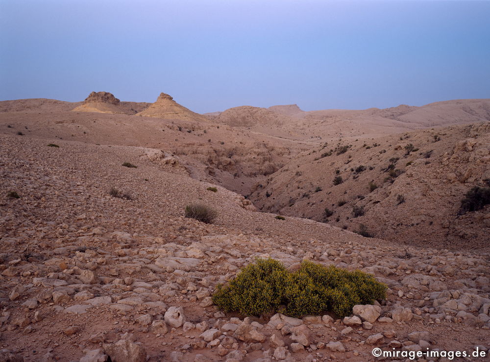 Loneliness
Salmah Plateau
Schlüsselwörter: Stein, Schlucht, sauber, Berg, Felsen, Einsamkeit, einsam, schroff, ruhig, friedlich, Frieden, Ruhe, Stille, schön, Schönheit, spektakulär, schroff, rauh, unberührt, ursprünglich, überleben, Karst, Gebirge, Busch, Dämmerung, Hügel, blaue Stunde, 
