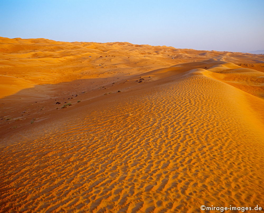 Desert
Wahiba Sharquiya Sands 
Schlüsselwörter: karg, Sonne, heiss, Sand, rot, Sehsucht, Leere, Muster, Textur, Landschaft, Wellen, geschwungen, Dünen, Hügel, einsam, Einsamkeit, menschenleer, unwirtlich, unberührt, kahl, Licht, gleißend, ausgedörrt, regenarm, magisch, Spiritualität, spirituell, 