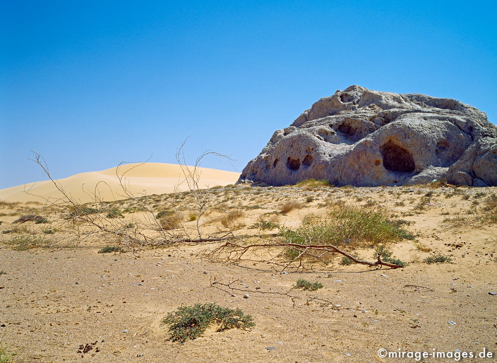 Sleepy Rock
Wahiba Sharquiya Sands 
Schlüsselwörter: Stein, Felsen, Einsamkeit, einsam, schroff, schön, Schönheit, spektakulär, schroff, rauh, unberührt, ursprünglich, weich, Erosion, Umwelt, Leere, Karst, Gebirge, Ödland, abgeschieden, menschenleer, Geologie, karg, gelb, Sand, Himmel, unwirtlich, 