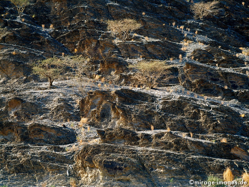 Wadi Bani Awf
Al Hajar al Gharbi
Schlüsselwörter: Stein, Berg, Felsen, Einsamkeit, einsam, schroff, ruhig, friedlich, Frieden, Ruhe, Stille, schön, Schönheit, spektakulär, schroff, rauh, unberührt, ursprünglich, überleben, Karst, Gebirge, Ödland, abgeschieden, menschenleer, Geologie, Leere, karg, 