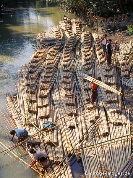 Building a bamboo raft
Mrauk - U
Schlüsselwörter: Rohstoff, Baumaterial, Floß, Fluss, Transport, Arbeit, Burmesen, Personen, Wasser, Bündel, gebündelt, Birma, Burma, Myanmar, Südost Asien, Entwicklungsland, Tropen, Armut, Fernreise, Reise, Kultur, Tourismus, exotisch, touristische Attraktion, Reisezi