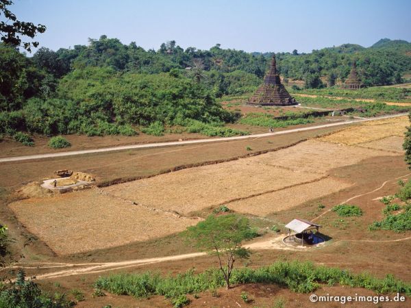 Stupas and rice fields
Mrauk - U
Schlüsselwörter: Landschaft, ländlich, Reisfelder, Himmel, Stupa, Pagode, Paya, Architektur, Ernte, Vegetation, üppig, alt, historisch, Archäologie, Birma, Burma, Myanmar, Südost Asien, Entwicklungsland, Tropen, Armut, Fernreise, Reise, Kultur, Tourismus, exotisch