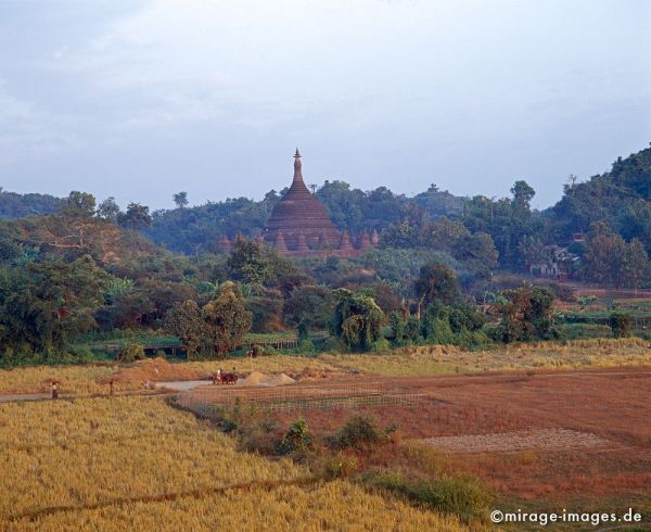 Shitthaung Paya
Mrauk - U
Schlüsselwörter: Landschaft, ländlich, Abendlicht, Reisfelder, Himmel, Palast, Stupa, Pagode, Tempel, Heiligtum, Architektur, Ernte, Vegetation, üppig, Glauben, Buddhismus, Macht, Chedi, alt, historisch, Archäologie, König, Birma, Burma, Myanmar, Südost Asien, Traum